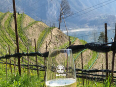 Flavors on the table