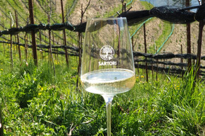 Flavors on the table