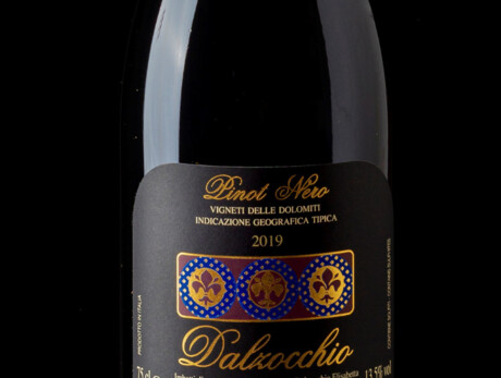 Scopri i segreti del Pinot Nero