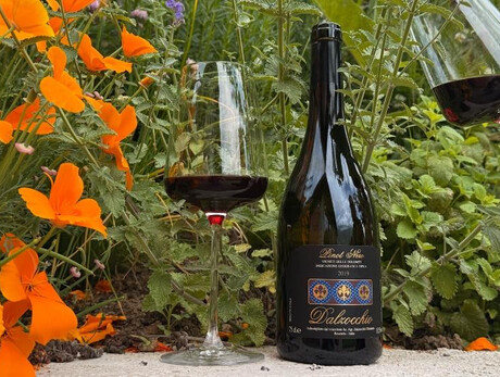 Discover the secrets of Pinot Noir