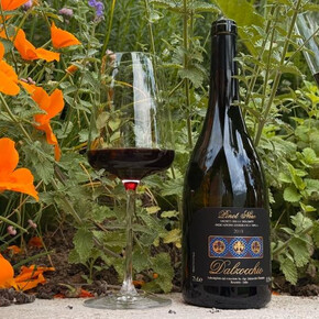 Scopri i segreti del Pinot Nero