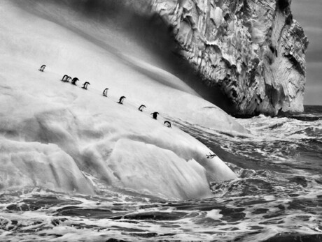 Sebastião Salgado Gletscher - MUSE