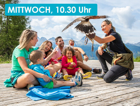 SPETTACOLO DI FALCONERIA