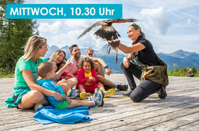 SPETTACOLO DI FALCONERIA