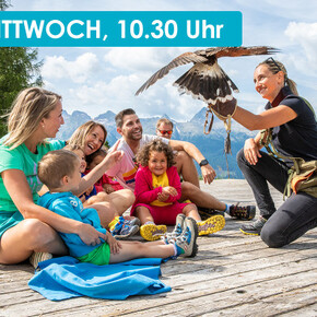 SPETTACOLO DI FALCONERIA