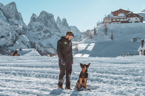 Sulla neve con i cani da valanga