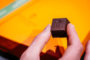 Sulle rotte del cioccolato