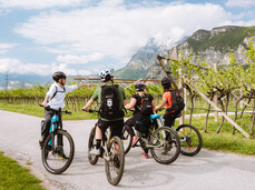 Geführte Radtour – Giro del Vino 50