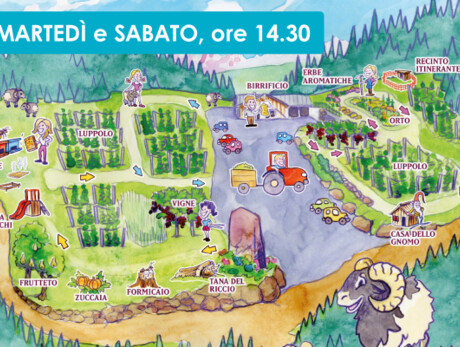 TRA BOSCO E FATTORIA