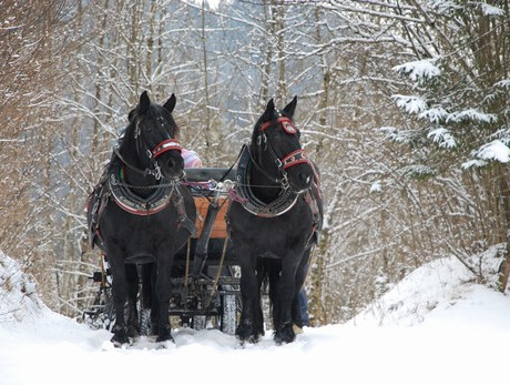 Troika in Val Canali