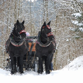 Troika in Val Canali