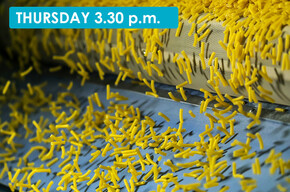 TOUR OF THE FELICETTI PASTA FACTORY TO DISCOVER HOW PASTA IS MADE