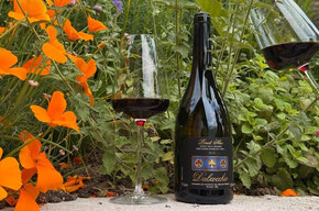 Visit and wine tasting at Dalzocchio Winery