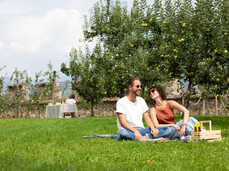 Visita e picnic sull'erba nei giardini di Castel Nanno