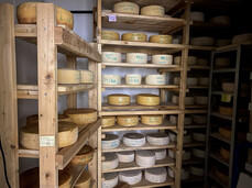 Guided tour of the Sicherhof Farm