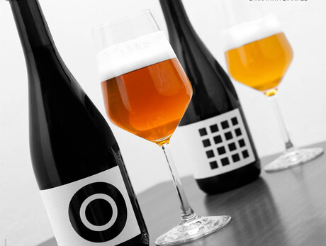 Guided tour at the Barbaforte Brewery