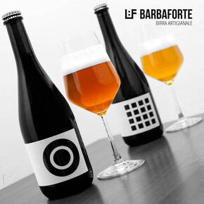 Guided tour at the Barbaforte Brewery