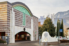 Visits and tastings at LaVis Winery