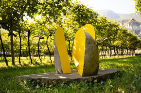 Wine & Art - Cantina De Vigili