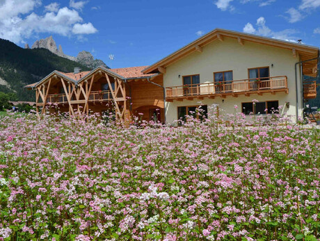 Eco Green Agritur Fiores_4