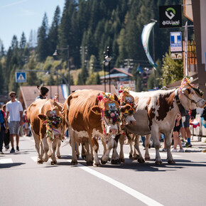 Desmonteada de Soraga_7