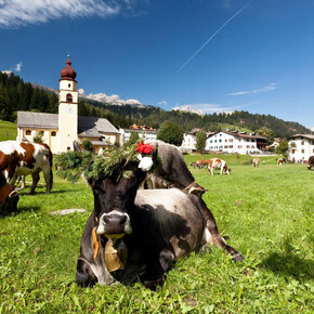 Desmonteada de Soraga_7