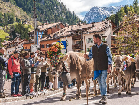 Festival del Puzzone Moena_6