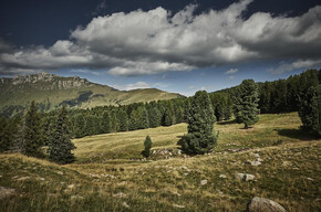 Malga Canvere - Alpe Lusia