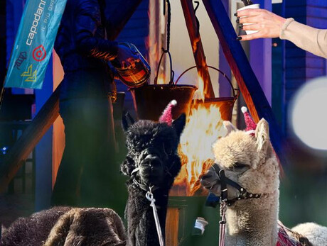 Cena tipica con gli alpaca al villaggio di Natale vista lago