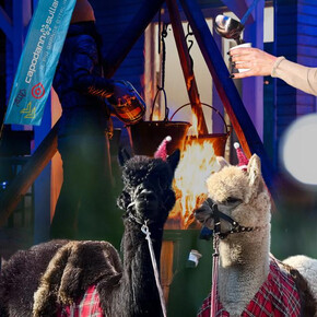 Cena tipica con gli alpaca al villaggio di Natale vista lago