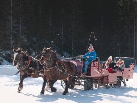 Escursione con slitta trainata da cavalli tra i boschi, i masi e i presepi di Ruffrè