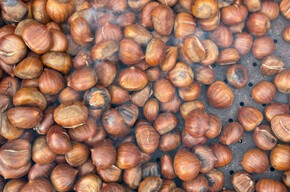 Festa di San Martino a Fondo