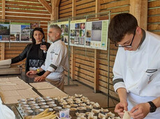 The image shows a culinary event where chefs and participants are preparing dishes made with white asparagus, with a large table full of ingredients and utensils.  A young chef in the foreground, wearing a white chef's jacket, is carefully folding a piece of puff pastry to create a culinary preparation.  On the table, several trays with fresh asparagus, pre-cut dough, and small metal molds are arranged, suggesting that tartlets or stuffed pastries are being prepared.  In the background, a man and a woman are speaking into a microphone, probably explaining the preparation steps or sharing the history of white asparagus.