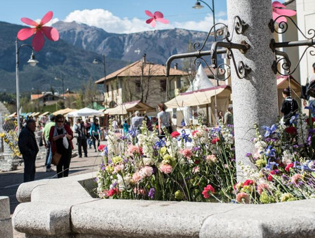 Fiorinda, la festa della fioritura dei meli in Val di Non