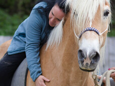 HORSEBACK RIDING: A TIMELESS ADVENTURE