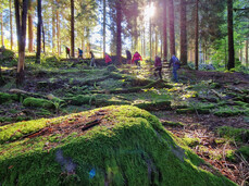 DANDELION MASTERCLASS: TASTE THE FIELDS
