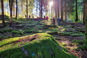 DANDELION MASTERCLASS: TASTE THE FIELDS