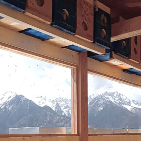 Dal legno... un'arnia di miele