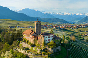Tasting at the castle