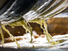 Gustonatura: Das warme Herz des Apfels