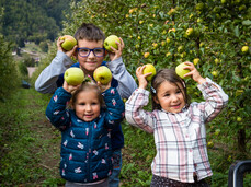 Gustonatura: Das warme Herz des Apfels