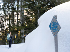 Up to Malghetto di Almazzago