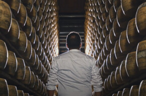 The scent of tradition: in the cheese vault