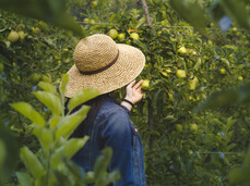 Großmutters Strudel