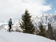 Malga di Dimaro - Baita Ciocomiti
