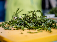 DANDELION MASTERCLASS: TASTE THE FIELDS