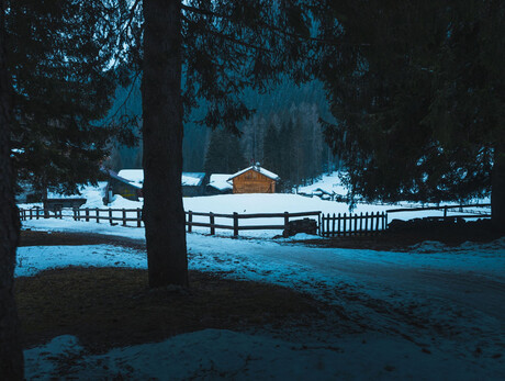 Im Wald beobachten: eine Wanderung mit der Infrarotkamera