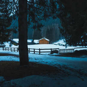 Im Wald beobachten: eine Wanderung mit der Infrarotkamera