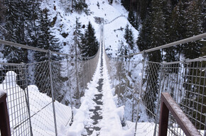 Auf den Spuren der Tiere des Parks