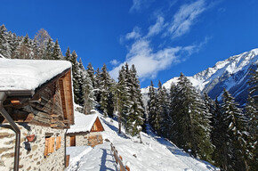 The wild baita adventure